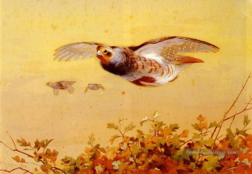 Perdrix anglaise en vol Archibald Thorburn bird Peinture à l'huile